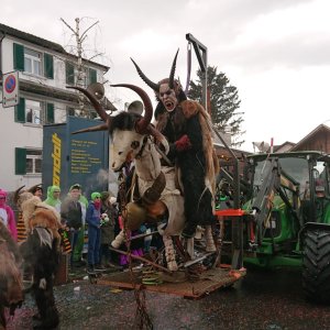 Umzug Pfäffikon SZ